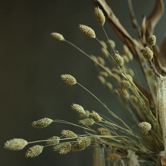 “Desert Flower” Dried Flower Composition