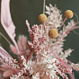 “Flamingo” Dried Flower Composition